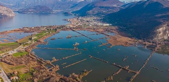 RISERVA NATURALE TORBIERE del SEBINO e ISEO: Gite in giornata