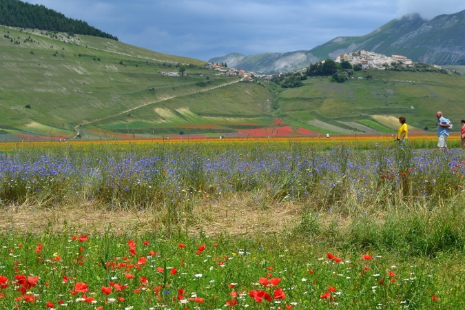 CASTELLUCCIO di NORCIA e la fioritura delle lenticchie Tour in bus