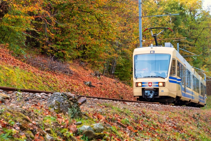 TRENINO delle CENTOVALLI Gite in giornata